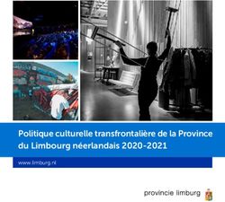 Politique culturelle transfrontalière de la Province du Limbourg néerlandais 2020-2021 - www.limburg.nl