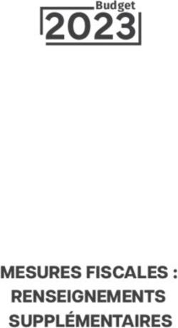2023Budget - MESURES FISCALES : RENSEIGNEMENTS SUPPLÉMENTAIRES