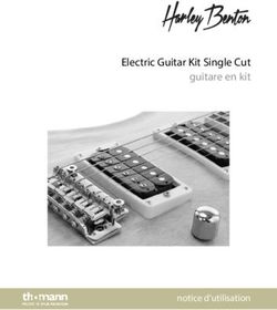 Electric Guitar Kit Single Cut guitare en kit - notice d'utilisation