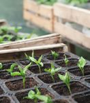 L'écosystème économique de l'alimentation dans Rennes Métropole et l'Ille-et-Vilaine - Rennes Métropole