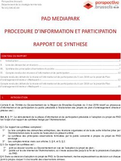 PAD MEDIAPARK PROCEDURE D'INFORMATION ET PARTICIPATION RAPPORT DE SYNTHESE