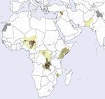 Weekly epidemiological record Relev&eacute; &eacute;pid&eacute;miologique hebdomadaire