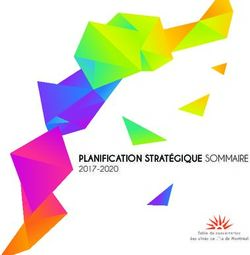 PLANIFICATION STRATÉGIQUE SOMMAIRE 2017-2020 - Table de Concertation des