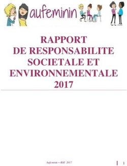 RAPPORT DE RESPONSABILITE SOCIETALE ET ENVIRONNEMENTALE 2017 - Aufeminin corporate