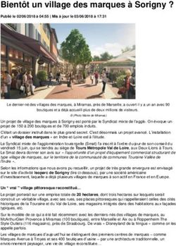 Bient&ocirc;t un village des marques &agrave; Sorigny ?
