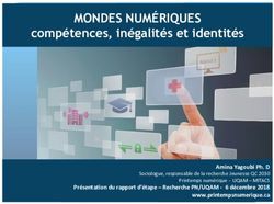 MONDES NUM&Eacute;RIQUES comp&eacute;tences, in&eacute;galit&eacute;s et identit&eacute;s - Printemps num&eacute;rique