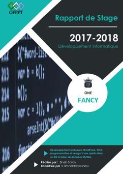 2017-2018 FANCY - Rapport de Stage - one fancy