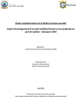 &Eacute;tude compl&eacute;mentaire de la Nation huronne wendat Projet d'am&eacute;nagement d'un quai multifonctionnel en eau profonde au port de Qu&eacute;bec - Beauport 2020