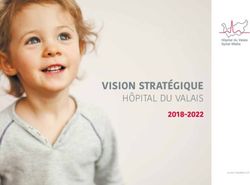 VISION STRATÉGIQUE HÔPITAL DU VALAIS 2018-2022