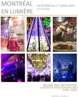 MONTRÉAL EN LUMIÈRE - BILAN DES ACTIVITÉS - Ville de Montréal