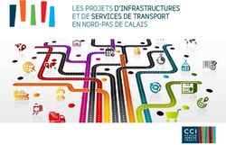 Les projets d'infrastructures et de services de transport en nord-pas de calais