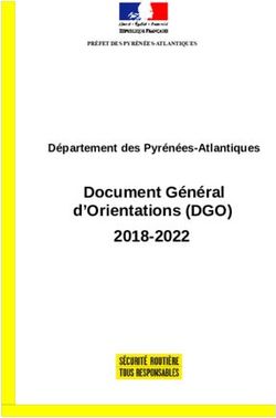 Document G&eacute;n&eacute;ral d'Orientations (DGO) 2018-2022 - D&eacute;partement des Pyr&eacute;n&eacute;es-Atlantiques