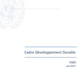Cadre D&eacute;veloppement Durable - Ha&iuml;ti Juin 2017 - PNUD