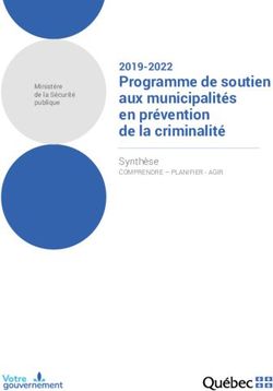 Programme de soutien aux municipalités en prévention de la criminalité 2019-2022 - Programme de soutien aux municipalités en ...