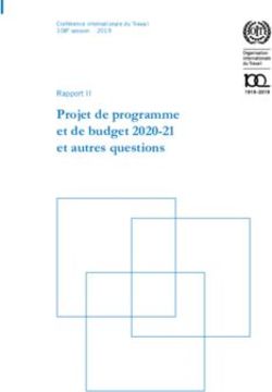 Projet de programme et de budget 2020-21 et autres questions - Rapport II Conférence internationale du Travail 108e session 2019 - ILO