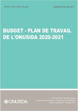 BUDGET - PLAN DE TRAVAIL DE L'ONUSIDA 2020-2021 - UNAIDS/PCB (44)/19.17