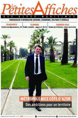 MÉTROPOLE NICE CÔTE D'AZUR - Des ambitions pour un territoire - Petites Affiches des ...