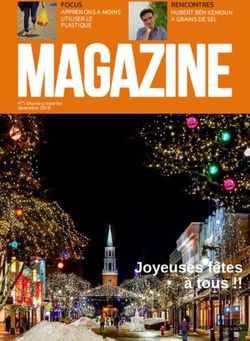 Joyeuses f&ecirc;tes &agrave; tous !! - FOCUS APPRENONS A MOINS UTILISER LE PLASTIQUE - College Lakanal