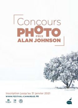 PHOTO ALAN JOHNSON PRIX - Festival de la Camargue