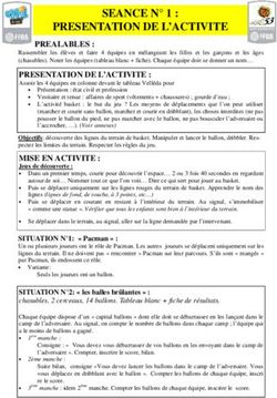 SEANCE N 1 : PRESENTATION DE L'ACTIVITE