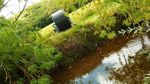 Sc&eacute;nario tendanciel et traduction de ces &eacute;volutions sur la ressource en eau et les milieux aquatiques Synth&egrave;se - Gest'eau