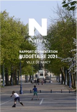 N BUDGÉTAIRE 2021 RAPPORT D'ORIENTATION - Ville de Nancy