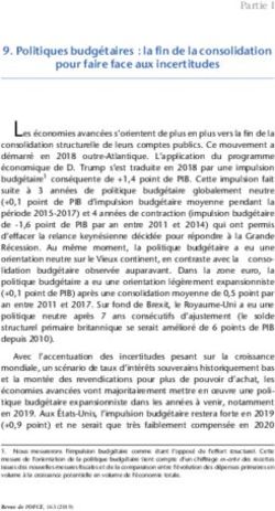 Politiques budgétaires : la fin de la consolidation pour faire face aux incertitudes - OFCE