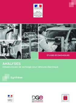 ANALYSES Infrastructures de recharge pour véhicule électrique - Synthèse