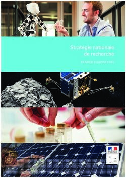 Strat&eacute;gie nationale de recherche - FR ANCE EUROPE 2020 - cache.media.education ...