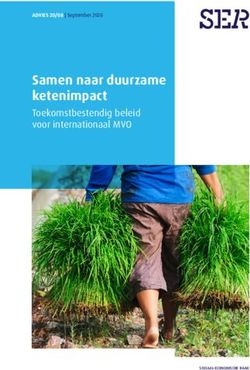 Samen naar duurzame ketenimpact - Toekomstbestendig beleid voor internationaal MVO - Sociaal-Economische ...