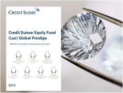 Credit Suisse Equity Fund (Lux) Global Prestige 2013