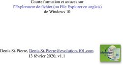 Denis St-Pierre, 13 février 2020, v1.1 - Courte formation et astuces sur l'Explorateur de fichier ou File ...