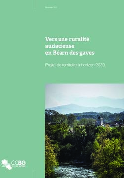 Vers une ruralit&eacute; audacieuse en B&eacute;arn des gaves - Projet de territoire &agrave; horizon 2030 - AUDAP