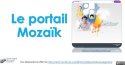 Le portail Moza&iuml;k Ce diaporama offert