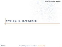 SYNTHESE DU DIAGNOSTIC - DOCUMENT DE TRAVAIL - S'implanter à Dreux