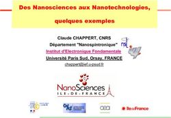 Des Nanosciences aux Nanotechnologies, quelques exemples - Claude CHAPPERT, CNRS D&eacute;partement "Nanospintronique" Institut d'Electronique ...