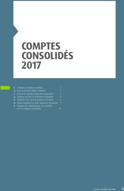 5 COMPTES CONSOLID&Eacute;S 2017
