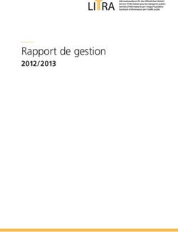 Rapport de gestion 2012/2013 - Litra