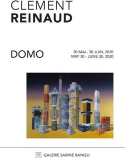 REINAUD CLEMENT DOMO - Galerie Sabine Bayasli