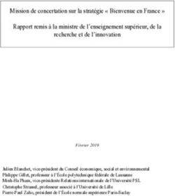 Mission de concertation sur la stratégie " Bienvenue en France " Rapport remis à la ministre de l'enseignement supérieur, de la recherche et de ...
