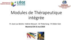 Modules de Thérapeutique intégrée - Montréal 29-31 mai 2019 Pr. Jean Luc Belche -Valérie Massart - Dr Thida Kang - Pr Didier Giet