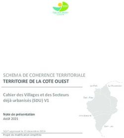 SCHEMA DE COHERENCE TERRITORIALE - TERRITOIRE DE LA COTE OUEST Cahier des Villages et des Secteurs d&eacute;j&agrave; urbanis&eacute;s (SDU) V1 - TCO