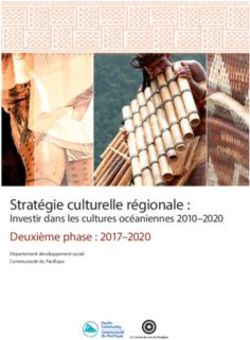 Stratégie culturelle régionale : Deuxième phase : 2017-2020 Investir dans les cultures océaniennes 2010-2020