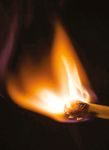 LE PI&Egrave;GE MONDIAL DU GAZ - DESASTRE DROIT DEVANT - Rosa Luxemburg Brussels