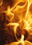LE PI&Egrave;GE MONDIAL DU GAZ - DESASTRE DROIT DEVANT - Rosa Luxemburg Brussels