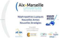 Néphropathies Lupiques Nouvelles Armes Nouvelles Stratégies - 10 mai 2022 Pr Noémie JOURDE-CHICHE