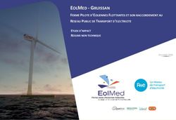 EOLMED - GRUISSAN FERME PILOTE D'EOLIENNES FLOTTANTES ET SON RACCORDEMENT AU RESEAU PUBLIC DE TRANSPORT D'ELECTRICITE