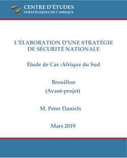 L'ÉLABORATION D'UNE STRATÉGIE DE SÉCURITÉ NATIONALE - CENTRE D'ÉTUDES STRATÉGIQUES DE L'AFRIQUE - Africa Center for Strategic ...