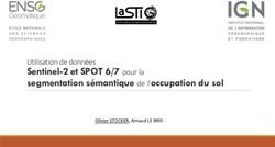 Sentinel-2 et SPOT 6/7 pour la segmentation sémantique de l'occupation du sol - Utilisation de données