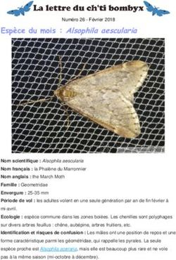 Esp&egrave;ce du mois : Alsophila aescularia - GON